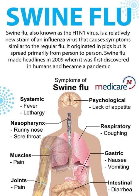 swine flu symptoms in humans